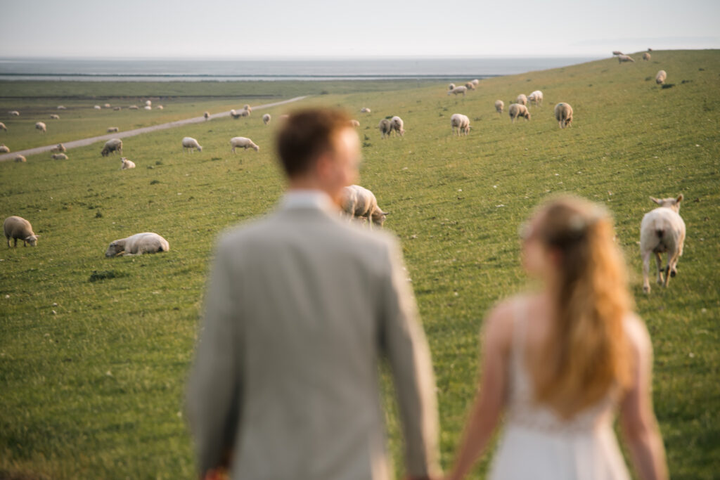 Nordsee-Hochzeit – 5